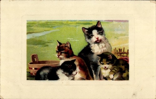 Katzenfamilie kätzchen - katzenfamilie,,