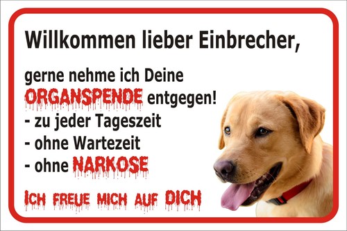 Schild s0428 vorsicht labrador - schild,