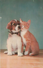 Hund und Katze 27.10.1968 Karte verschickt von New York nach München