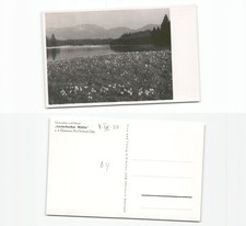 (c367464)   Lauterbacher