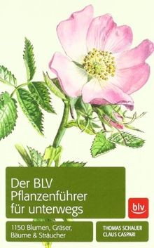 Der blv pflanzenführer für - blv,
