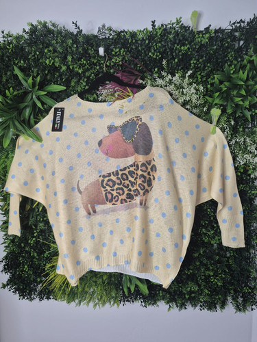 Dackel pullover leo - pullover, punkte