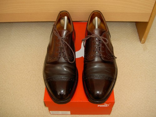 Alden herrenschuhe cordovan - alden,
