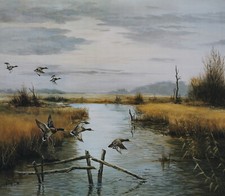 Stockenten Wald Kunstdruck  42
