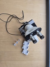 Steindorff Berlin B.Y.N