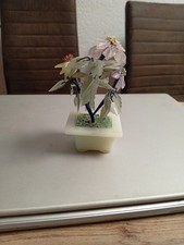 Jadebaum Jade Edelsteine