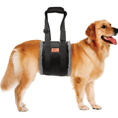 Hunde tragehilfe verstellbar - hunde,