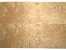 Muschel Ahorn Furnier Quilted Maple 191x19-20cm 1 Blatt Wölkchenahorn Veneer