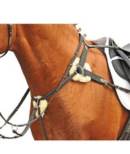 Gutes Leder Vorderzeug mit