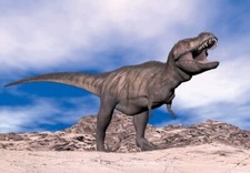 Postkarte tyrannosaurus rex - 3d,