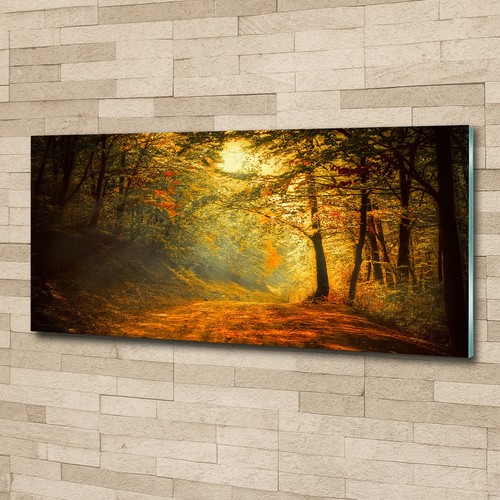 Glas bild wandbilder druck - glas-bild,