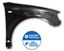 Kotflügel rechts lackiert