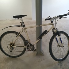 Fahrrad Diamondback Apex SE gebraucht