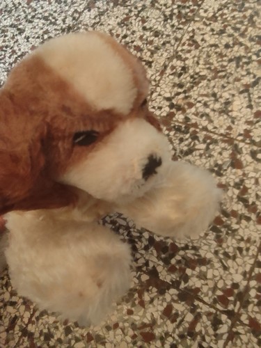 Steiff kuscheltier hund - steiff,, kuscheltier,
