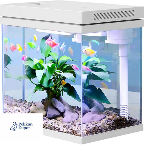 Weißglas aquarium mit - aquarium,