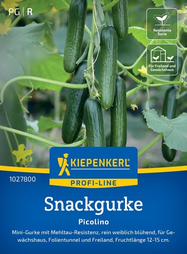 Kiepenkerl snackgurke picolino - snackgurke,