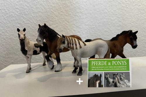 Geschenk bundle schleich - geschenk,