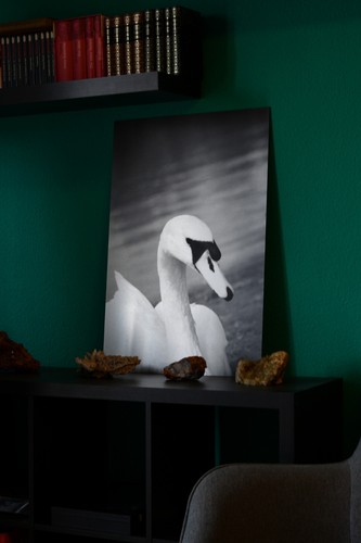 Unikat fotografie wandbild - fotografie,