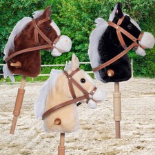 Steckenpferd Hobby Horse