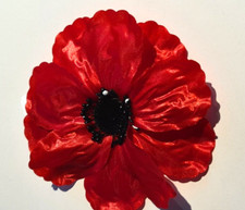 HAARSCHMUCK  FASCINATOR  rot