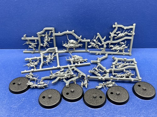 Warhammer quest cursed - quest, city
