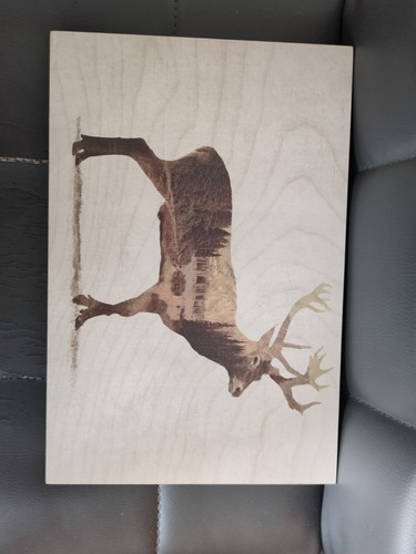 Ikea reh wald bjornamo holz - ikea,