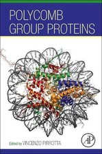Polycomb Group Proteins -