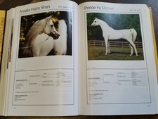 Asil Araber IV (1993) * Araber