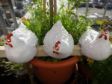 3 Hühner Huhn Hennen