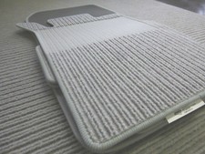 $$$ Rips Fußmatten passend