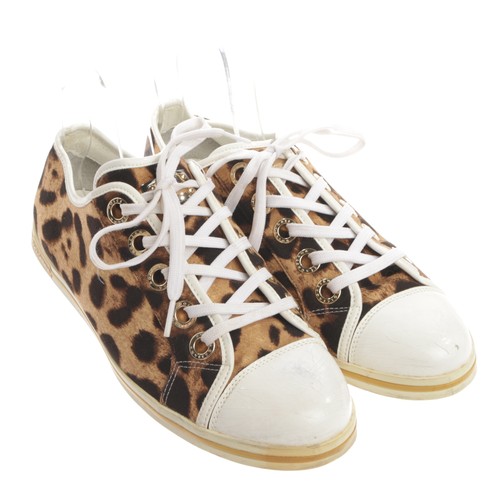 Dolce gabbana sneaker - gabbana,