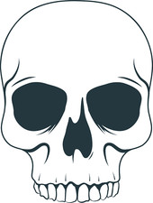 XXL 18X18 Car Decal Snake