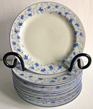 Vtg Arzberg 1382 Blue Flowers