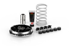 Variomatik Malossi Multivar