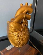 Anatomie Modell menschliches Herz goldfarben Medical Plastics Texas