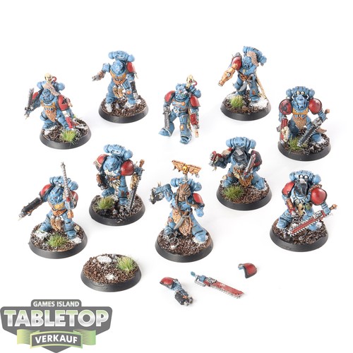 Space wolves 10x - space, grey