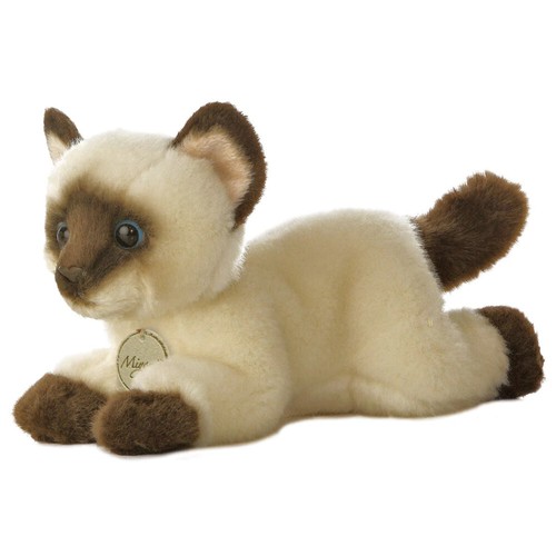 Aurora miyoni siam katze - aurora,