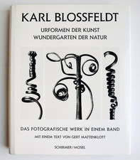 Karl Blossfeldt: Urformen der