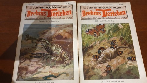 11x die schönsten