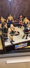 WWE Wrestling Ring und Figuren