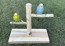 Freisitz Klettergerüst