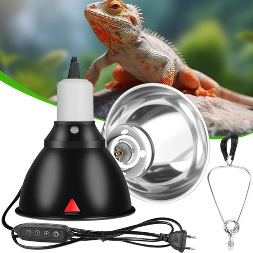 Reptile dome terrarium - reptile,