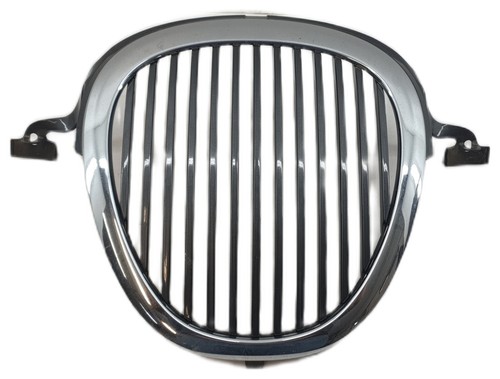 Jaguar type frontgrill - jaguar,