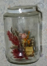 DEKO Trockenblume im Glas Stilleben konserviert echt Natur Dekoration Herbarium