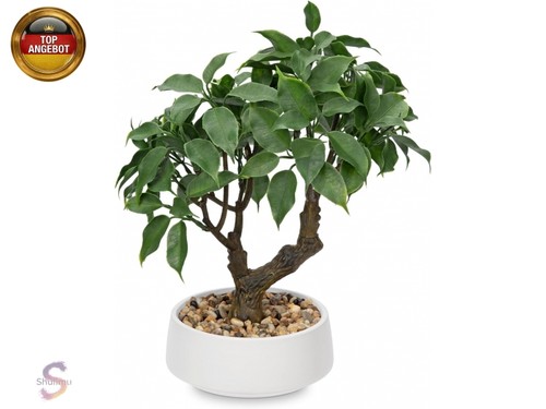 Kunstpflanze bonsai baum - baum, im
