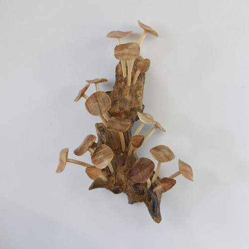 Holzpilze wanddeko - 20,
