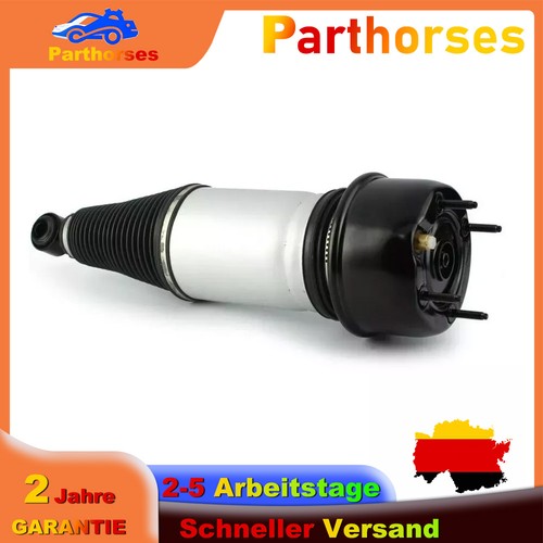 Stoßdämpfer hinten links - hinten,
