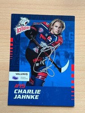 Charlie Jahnke - Ice Tigers -