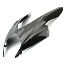 Carbon Frontverkleidung für