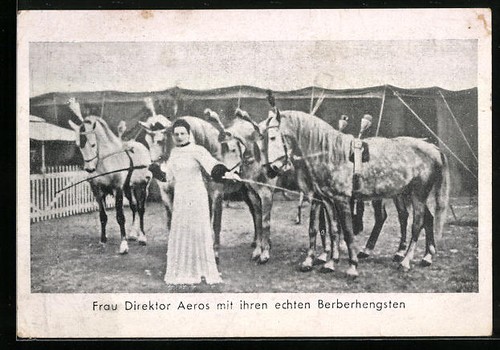 Frau direktor aeros - frau,